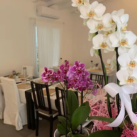 Ca' Du Ale فندق مبيت وإفطار 4*