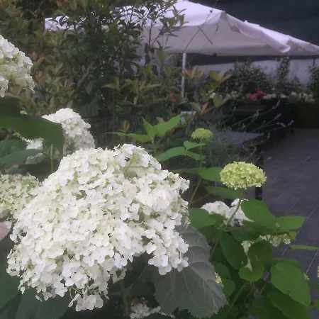 فندق مبيت وإفطار Ca' Du Ale