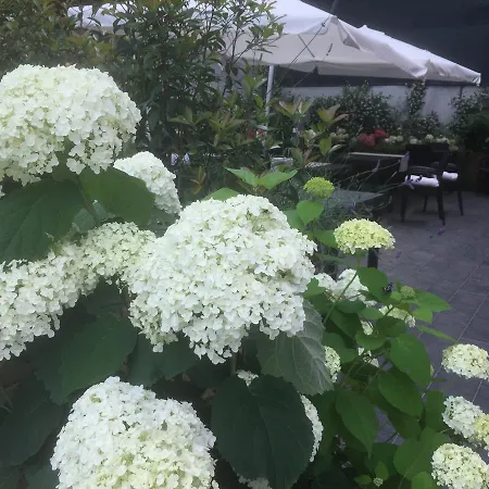 Ca' Du Ale فندق مبيت وإفطار سيستري ليفانتي