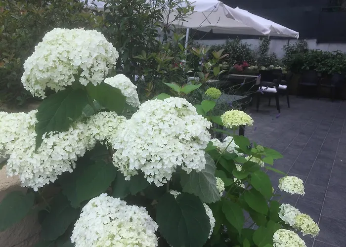 Ca' Du Ale Nocleg ze śniadaniem Sestri Levante