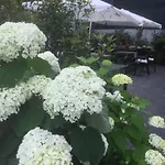 Ca' Du Ale Bed and Breakfast Σέστρι Λεβάντε