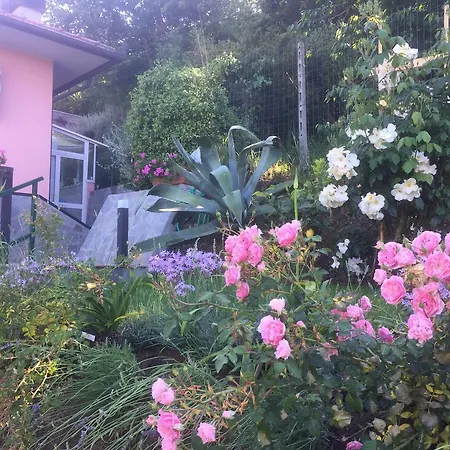 Oda ve Kahvaltı Ca' Du Ale